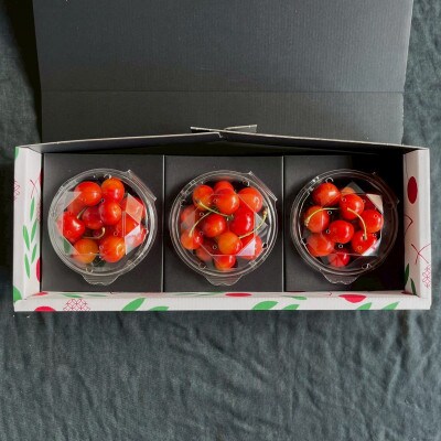 【2026年6月中旬より発送予定】農園から直送 山形県産さくらんぼ佐藤錦300g 数量限定