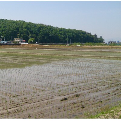 【新米を玄米でお届け】〔令和8年産〕農家の先生が作る特別栽培米山形県産つや姫30kg(数量限定)