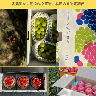 【発送月固定定期便】【数量限定】農園から朝採れを直送、季節の果物定期便全3回