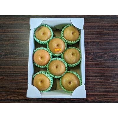 令和8年産　先行受付　農家直送「和梨」3kg　贈答用【離島配送不可】