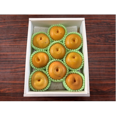 令和8年産　先行受付　農家直送「和梨　家庭用」3kg【離島配送不可】