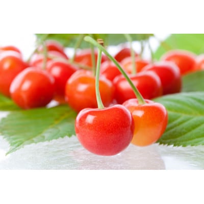 赤い宝石　さくらんぼ「佐藤錦」180g×4P