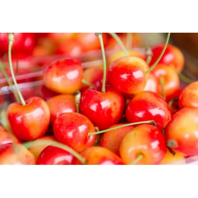 赤い宝石　さくらんぼ「佐藤錦」180g×4P