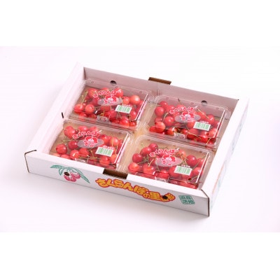 赤い宝石　さくらんぼ「佐藤錦」180g×4P
