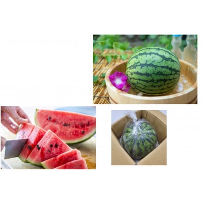 【発送月固定定期便】「いちご」から始まるフルーツ4種便B 全4回