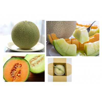 【発送月固定定期便】「いちご」から始まるフルーツ4種便A全4回