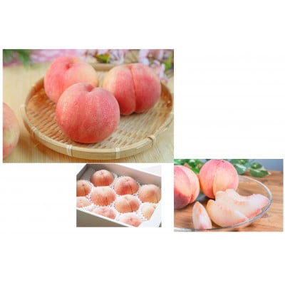 【発送月固定定期便】「いちご」から始まるフルーツ4種便A全4回