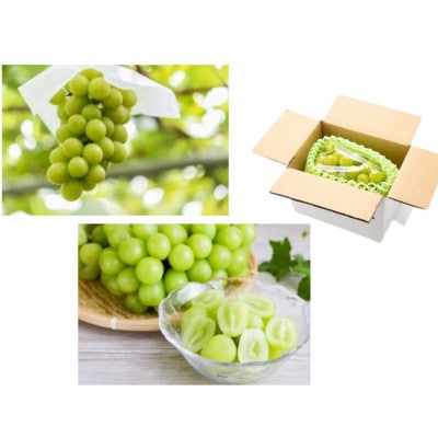 【発送月固定定期便】山形魅力果実便全6回