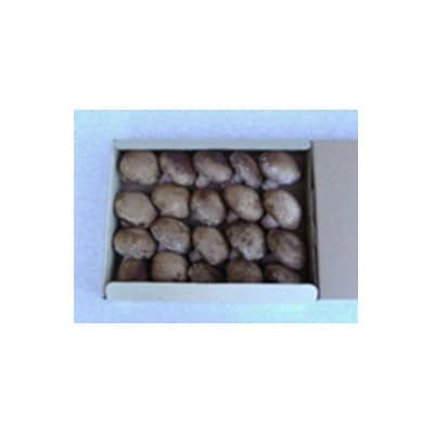 金の椎茸【菌床】「大王」1kg