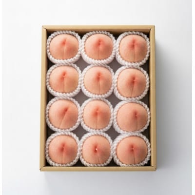 【発送月固定定期便】夏のごほうび果実全3回