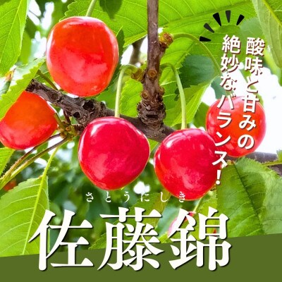 山形県産さくらんぼ佐藤錦500gバラ詰め 秀品 Lサイズ以上