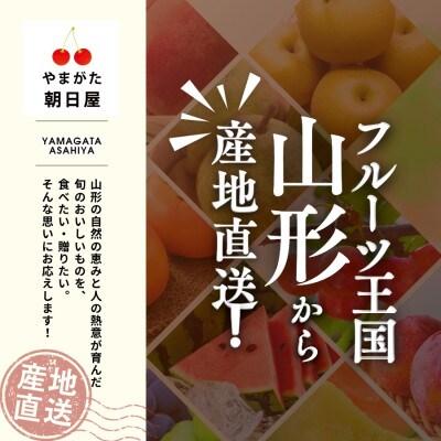 山形県産さくらんぼ佐藤錦500gバラ詰め 秀品 Lサイズ以上