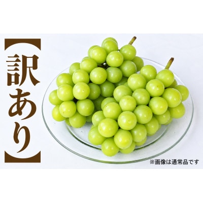 ご家庭用(訳あり)シャインマスカット 3kg(3～10房)