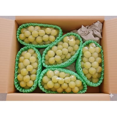 ご家庭用(訳あり)シャインマスカット 5kg(5～16房)