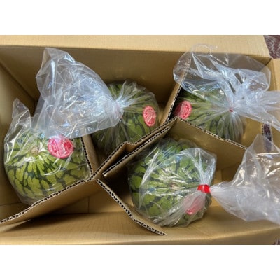 山形県産 小玉スイカ Lサイズ以上 8kg(4～5玉)