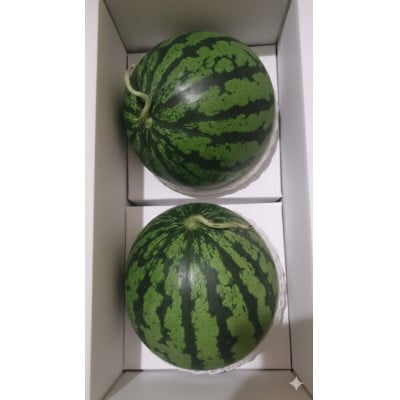 山形県産 大玉スイカ Lサイズ以上 2玉