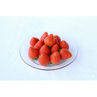 【2027年4月発送予定】おとめ心(いちご)250g×10p