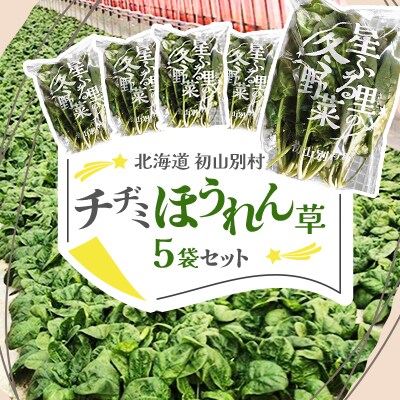 【北海道 初山別村】 チヂミほうれん草×5袋セット