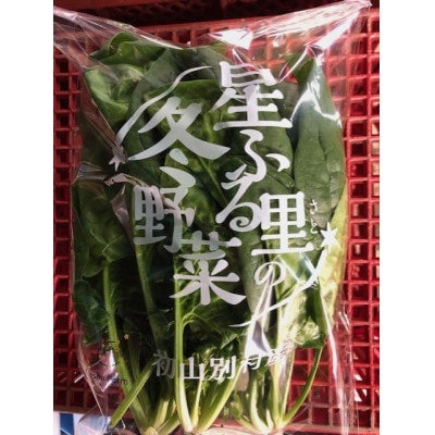 【北海道 初山別村】冬野菜詰め合わせ5袋(チヂミほうれん草×3袋・春菊×2袋)