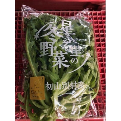 【北海道 初山別村】冬野菜詰め合わせ5袋(チヂミほうれん草×3袋・春菊×2袋)