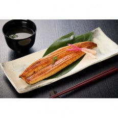 国産うなぎ蒲焼詰合せ2尾
