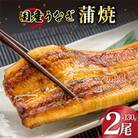 国産うなぎ蒲焼詰合せ2尾【(株)フーズ・ユー綱正】