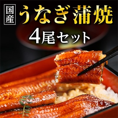 国産うなぎ蒲焼・4尾セット【マルニうなぎ加工(株)】