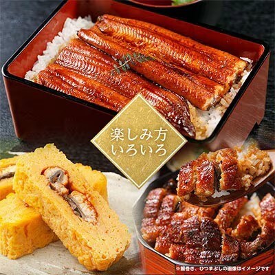 【2ヵ月毎定期便】国産うなぎ蒲焼・2尾セット【マルニうなぎ加工(株)】全6回