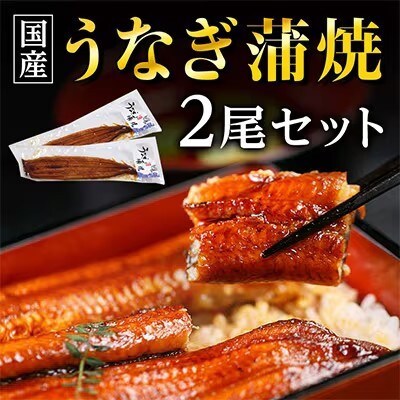【毎月定期便】国産うなぎ蒲焼・2尾セット【マルニうなぎ加工(株)】全12回