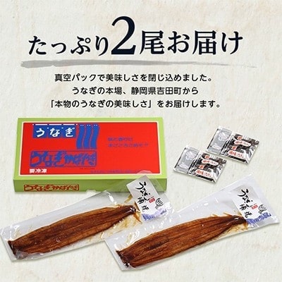 【毎月定期便】国産うなぎ蒲焼・2尾セット【マルニうなぎ加工(株)】全12回