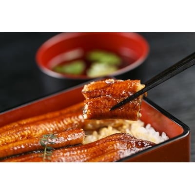 2023年4月発送開始『定期便』国産うなぎ蒲焼・2尾セット【マルニうなぎ加工(株)】全12回