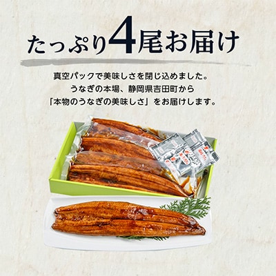 2023年4月発送開始『定期便』国産うなぎ蒲焼・4尾セット【マルニうなぎ加工(株)】全12回