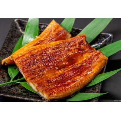 【吉田町産】静岡うなぎ漁協 うなぎ蒲焼セット カット4パック 国産 静岡県産