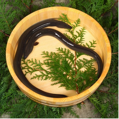 【吉田町産】静岡うなぎ漁協 うなぎ蒲焼セット カット4パック 国産 静岡県産