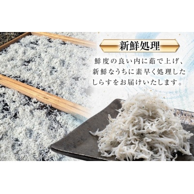 静岡県駿河湾のしらす干し100g×3パック・釜上げしらす120g×3パック