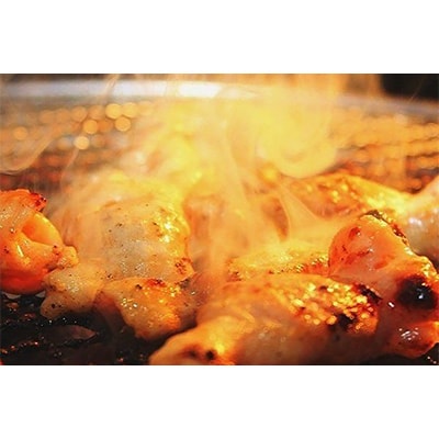 静岡産牛ホルモン味付パック約1.0kg