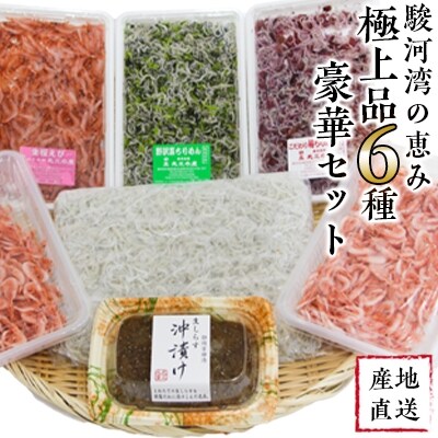 【2022年2月上旬発送】【産地直送】駿河湾の恵み『極上品6種豪華セット』【丸三水産】