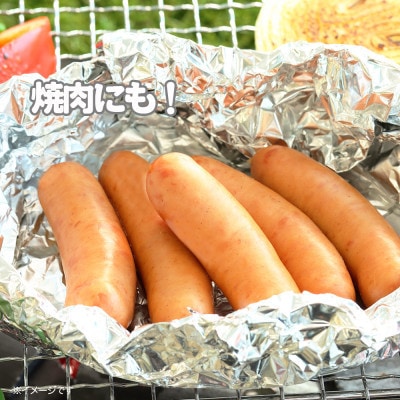 【ふるさと納税】あらびき ウインナー 500g×12袋