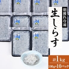 朝獲れ冷凍生しらす10個入り