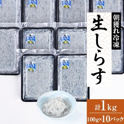 朝獲れ冷凍生しらす10個入り