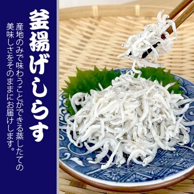 産地直送 おおぶり 釜揚げ桜えび・釜揚げしらすセット
