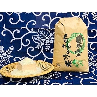2021年7月発送開始『定期便』静岡県吉田町産　農家直送　きぬむすめ　5kg(白米)全6回