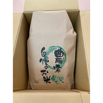 2021年7月発送開始『定期便』静岡県吉田町産　農家直送　きぬむすめ　5kg(白米)全6回