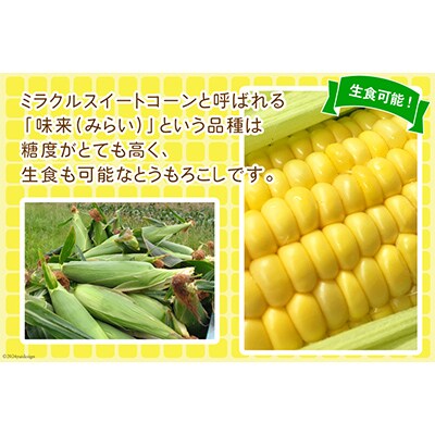 ミラクルスイートコーン「味来(みらい)」3kg