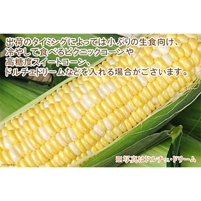 ミラクルスイートコーン「味来(みらい)」3kg