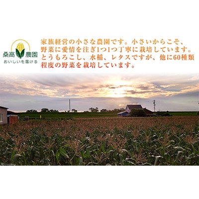 ミラクルスイートコーン「味来(みらい)」3kg