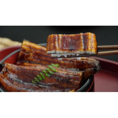 静岡県産うなぎの蒲焼 2尾入り(320g以上)