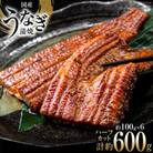 静岡県産鰻蒲焼ハーフカット　約100g×6パック