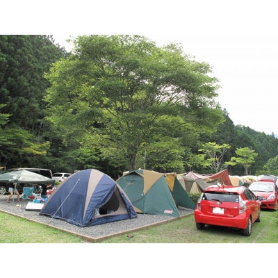 【吉田町・川根本町共通返礼品】金豚王焼肉セット付き三ツ星オートキャンプ場宿泊券