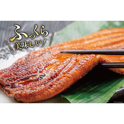 静岡県吉田町産うなぎ蒲焼2尾セット